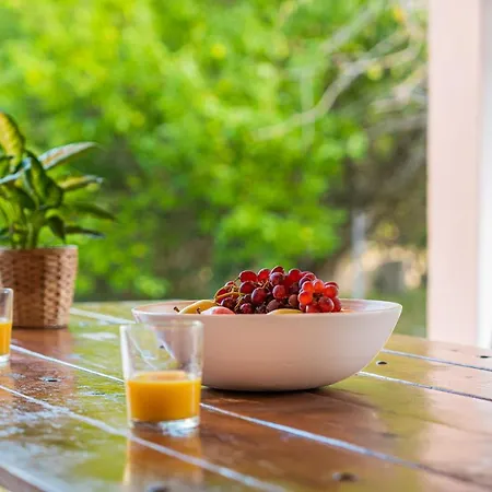 Ses Pomeres Villa Puigpunyent (Mallorca)
